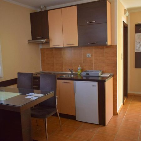 Apartmani Radoicic Josanicka Banja Dış mekan fotoğraf