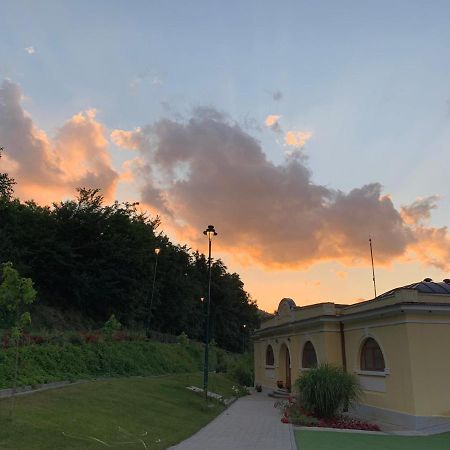 Apartmani Radoicic Josanicka Banja Dış mekan fotoğraf