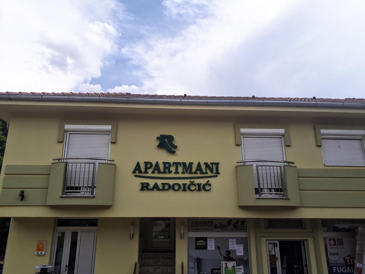 Apartmani Radoicic Josanicka Banja Dış mekan fotoğraf