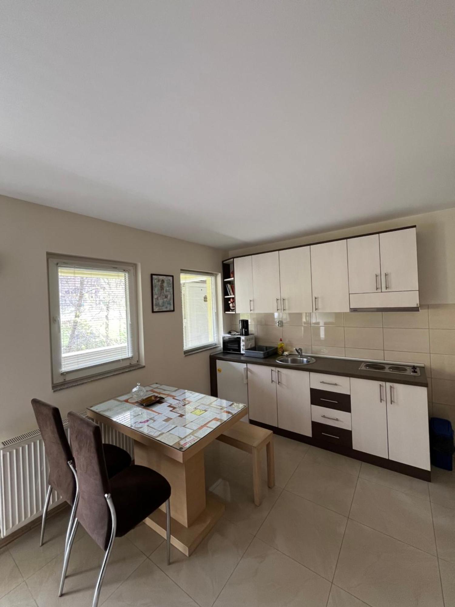 Apartmani Radoicic Josanicka Banja Dış mekan fotoğraf