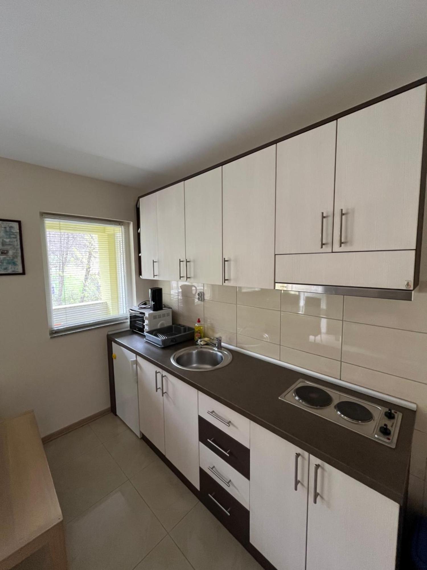Apartmani Radoicic Josanicka Banja Dış mekan fotoğraf